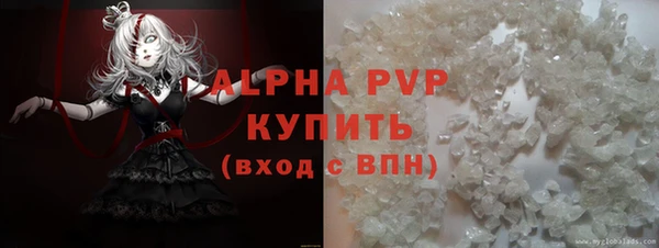 прущие грибы Новодвинск