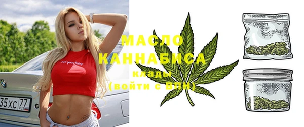 тгк Новозыбков